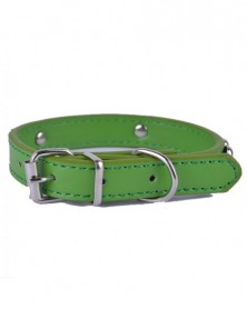 Width 25mm-Green-11Colors...