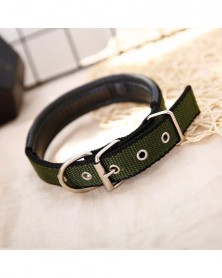 XL size-Green-Universal Pet...