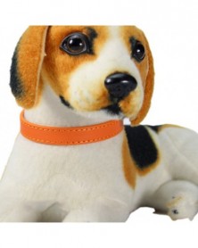 1.5x37-Orange-Dog Collar...