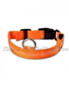 L size-orange-2.5cm Wide...