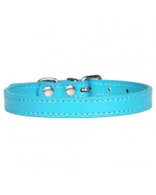 L size-Lake Blue-Nylon Dog...