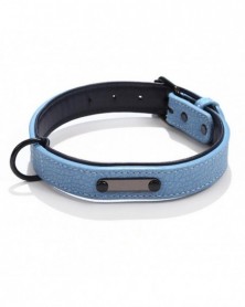 2XL size-Blue-Dog Collar...