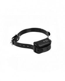 AU Plug-dog collar -...