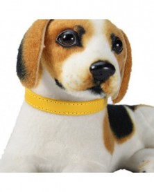 1.5x37-Gold-Dog Collar...