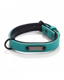 2XL size-Green-Pet Collar...