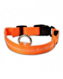 L size-orange-Nylon Dog...