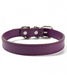 M size-Purple-Small Dog...