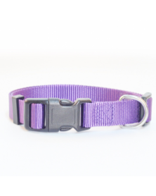 L size-Purple-Dog Collar...