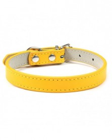 M size-Yellow-Pet Neck Ring...