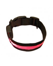 XL size-Red-Fashion LED Dog...