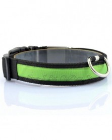 XL size-green-Nylon LED Pet...