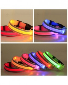 Battery L-Colorful-LED Pet...