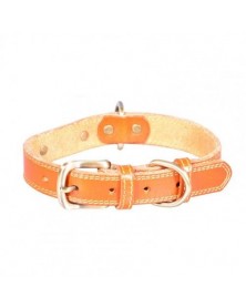 XL size-Orange-Pet Easy To...