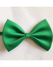 2Pcs-Green-Pet Dog Cat...