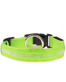 XL size-Green-Nylon LED Dog...