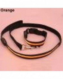 L size-Orange-Safe LED...