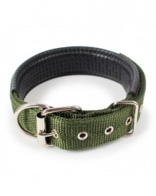 4.0x70cm-Green-Pet Collars...