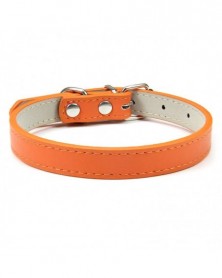 XS 30cm-Orange-Pet Supplies...