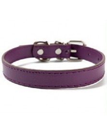 S size-Purple-Pet Dog...