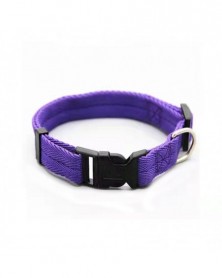 L size-Purple-Solid Color...