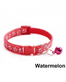 Watermelon-Hot Selling...