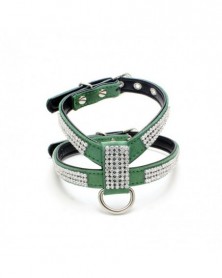 L size-Dark green-Pet...