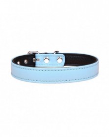 2XS size-Light Blue-Cat...