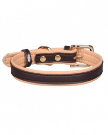 L size-Black-Pet Collar...