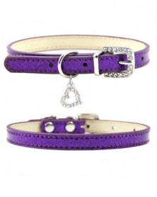 XS size-C-purple-Dog Neck...