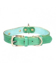 L size-Green-Pet Collar...