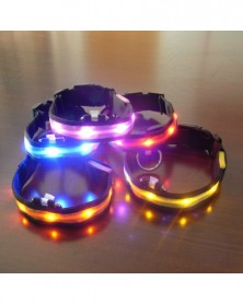 Battery L-Red-Nylon LED Pet...