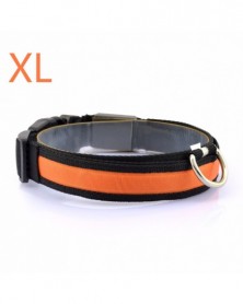 Orange XL-Nylon Dog Collars...