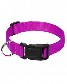 XL size-Purple-Buckle...