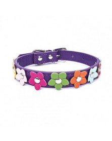 S size-Purple-Pet Collar...