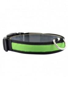 L size-G-Pet Dog Collar USB...