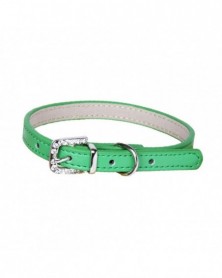 S size-Green-Durable Dog...