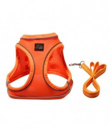 L size-O - Pet Dog Leash...