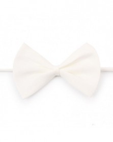 white bow-Pet Collar...