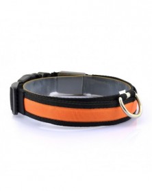 Orange S-Nylon Dog Collars...