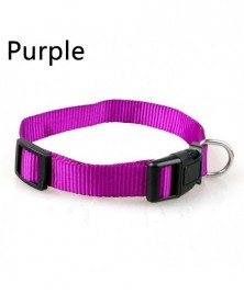 L size-Purple-Pet Dog...