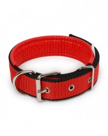 2.0x50cm-Red Black-Pet...