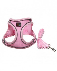 L size-P - Pet Dog Leash...