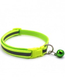 Fluorescent Green-Pet...