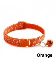 Orange-Hot Selling Ardemer...