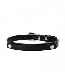 S size-black 2-DIY Name Dog...