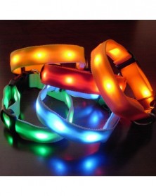 Battery S-Red-Nylon LED Pet...