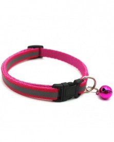 Rose Red-12 Colors Pet...