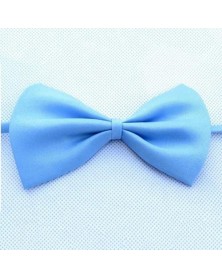 Light Blue-Cute Dog Collar...