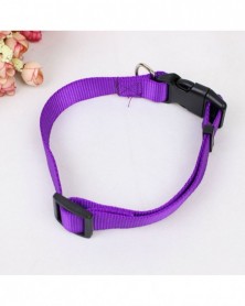 M size-Purple-Nylon Dog...