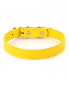 1.2x33cm-Yellow-Dog Collars...